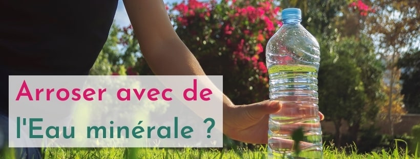Watering Plants with Mineral Water | Watering Can Design | L'Arroseur arros