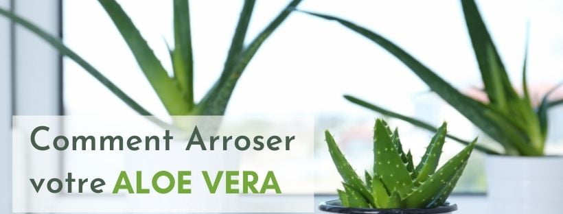 aloe vera trocknet haut aus Herbamedicus Aloe Vera Gel 50 % für trockene Haut main image 1