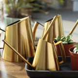 Arrosoir d'intérieur doré