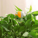 arrosage goutte à goutte original