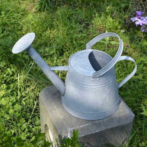 Arrosoir Vintage <br> Taule Galvanisée - L'arroseur arrosé