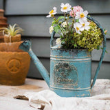 arrosoir jardin outil