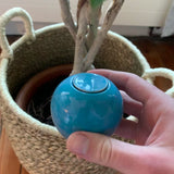 Box of artisanal Ollas