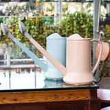 arrosoir d'intérieur design