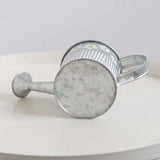 arrosoir métal galvanisé