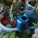 Blue Watering Can