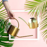 pack arrosoirs dorés