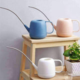 Arrosoir Bonsaï en plastique | L'arroseur arrosé