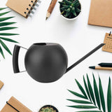 arrosoir d'intérieur