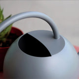 arrosoir en metal gris