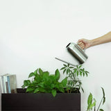 arrosoir intérieur inox