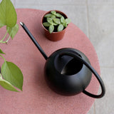 arrosoir plante intérieur