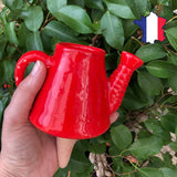 Terracotta Watering Can<br> (Ollas to plant)