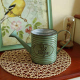 Arrosoir Vintage : en Fer Rustique | L'arroseur arrosé