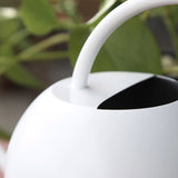 White Watering Can