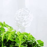 bulle d'arrosage automatique