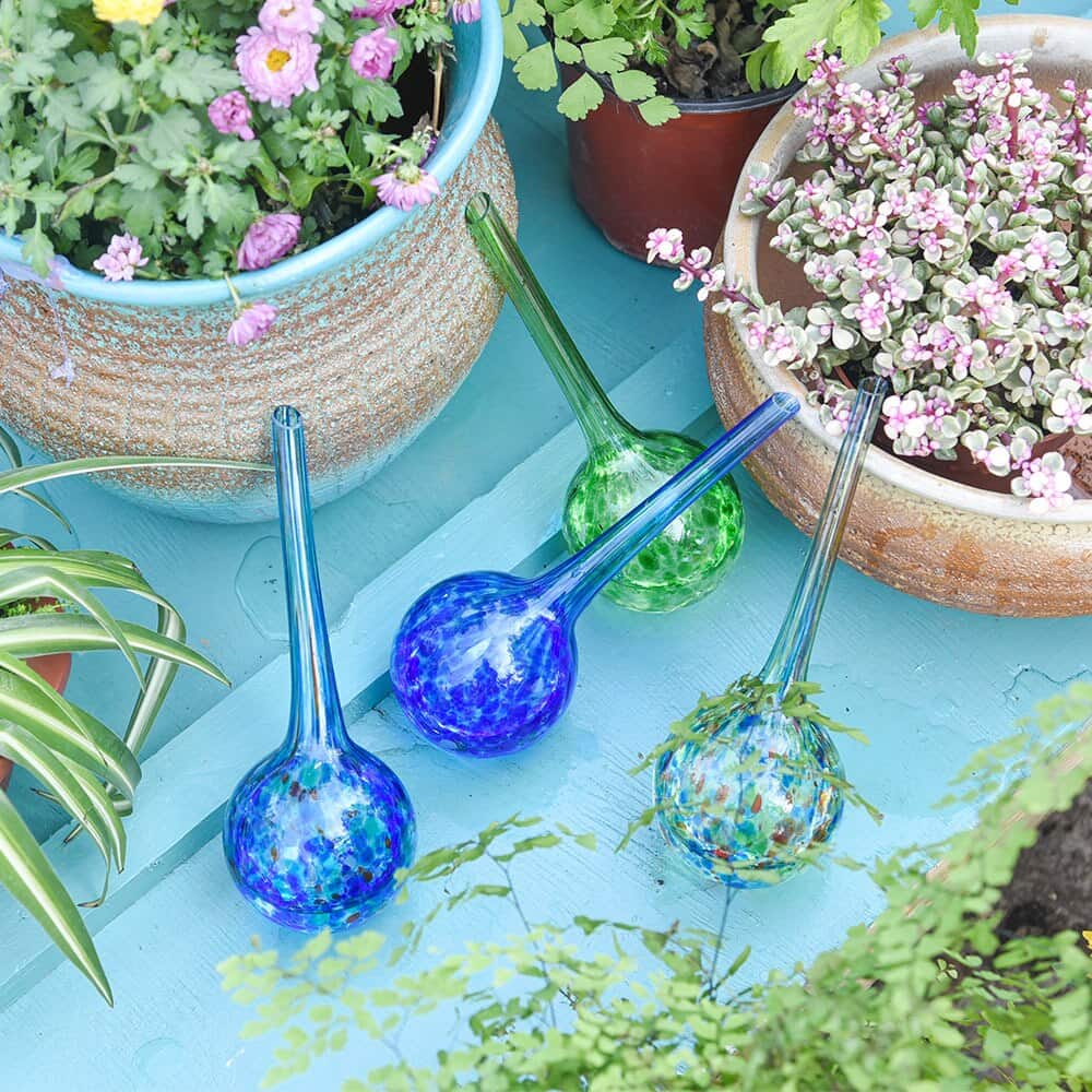 glass globe watering plants Automatic Glass Watering Can | Watering Can Design