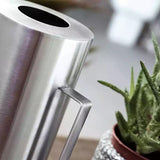 arrosoir acier inoxydable