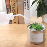 arrosage goutte a goutte pipette