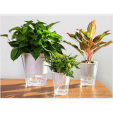 Pot d'Arrosage automatique (Réserve d'eau) | L'arroseur arrosé