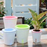 Pot Hydroponique | L'arroseur arrosé