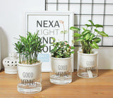 arrosage pot de fleur