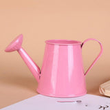 petit arrosoir deco table