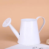 petit arrosoir de table