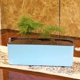 arrosage jardinière plantation aromatique