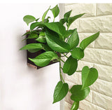 pot hydroponique suspendu