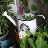 Arrosoir en fer blanc