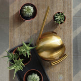 arrosoir plante grasse metal design