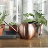 arrosoir metal plantes vertes rond