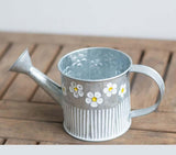 arrosoir acier galvanisé