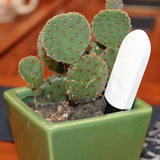 humidimètre plantes