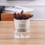 pot arrosage plante d'intérieur