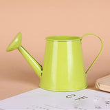 petit arrosoir décoratif de bureau