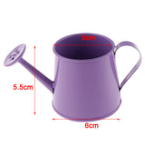 Petit arrosoir en métal