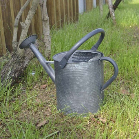 Arrosoir métallique zinc