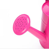 pomme d'arrosage rose