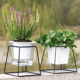 pot de fleur arrosage automatique