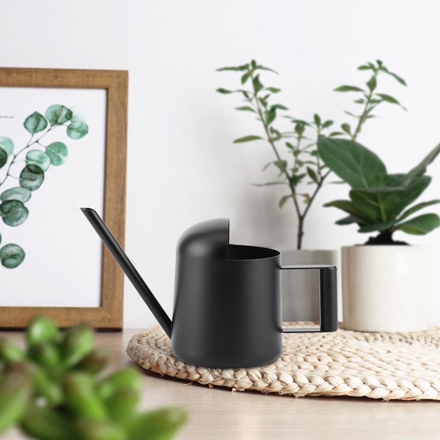 metal house plant watering can Small Metal Watering Can | Watering Can Design