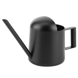 petit arrosoir métalique