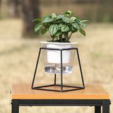 pot de fleur système arrosage automatique