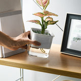 pot de fleur arrosage déco