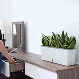 Jardinière avec réserve d'eau