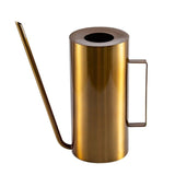 arrosoir doré pour plante d'intérieur