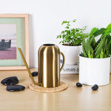 arrosoir doré cactus