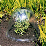 Cloche de jardin
