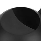 Black indoor watering can